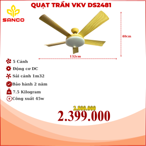 Quạt Trần F6661