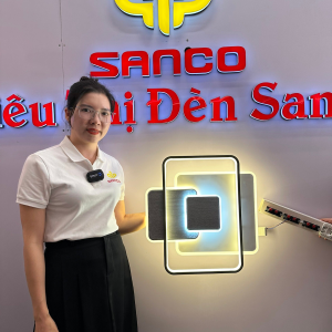Ốp hiện đại 7116
